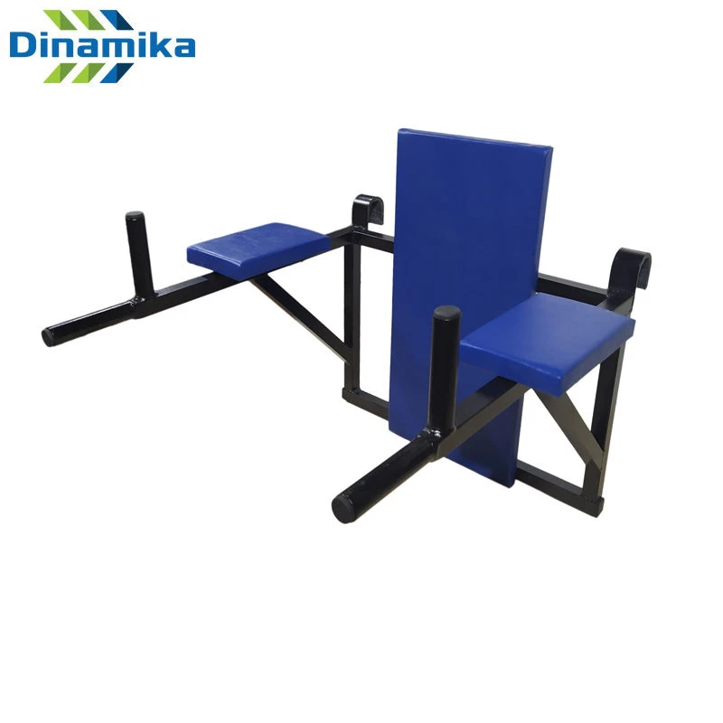 Wall-Mounted Parallel Bars for Swedish Wall (Soft Elements / No Soft Elements)