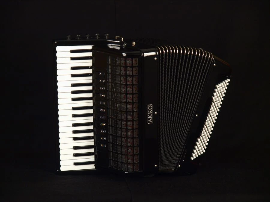 Elena Accordion AKKO - 3-Voice Professional Model