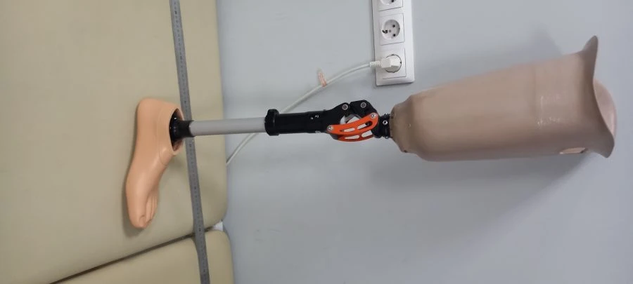 Custom Bathing Hip Prosthesis Model 8-07-05