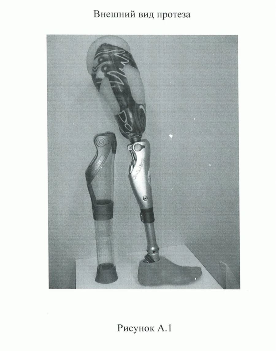 Microprocessor-Controlled Hip Prosthesis PN6-Obel