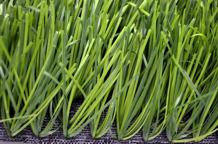 Artificial Grass Covering Grass 60/12