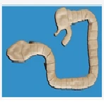 Thick Intestine Research Model, Art. LV42