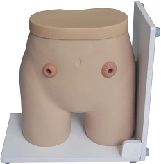 Stoma Care Training Model, 38