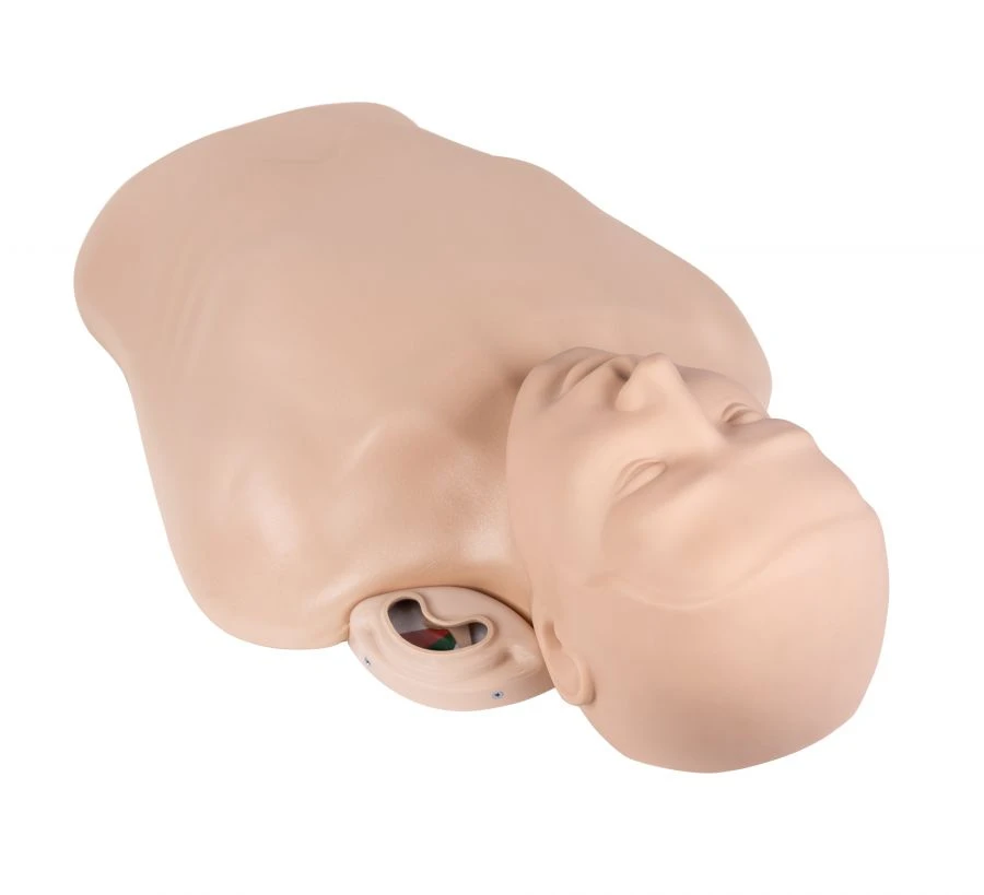 Resuscitation Phantom Torso with ZIK-22 Controller