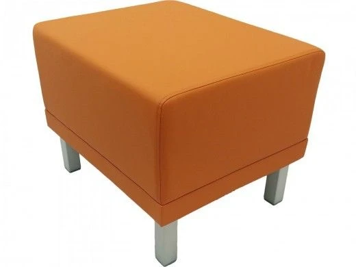 Customizable Puff with Metal Frame - Flora A