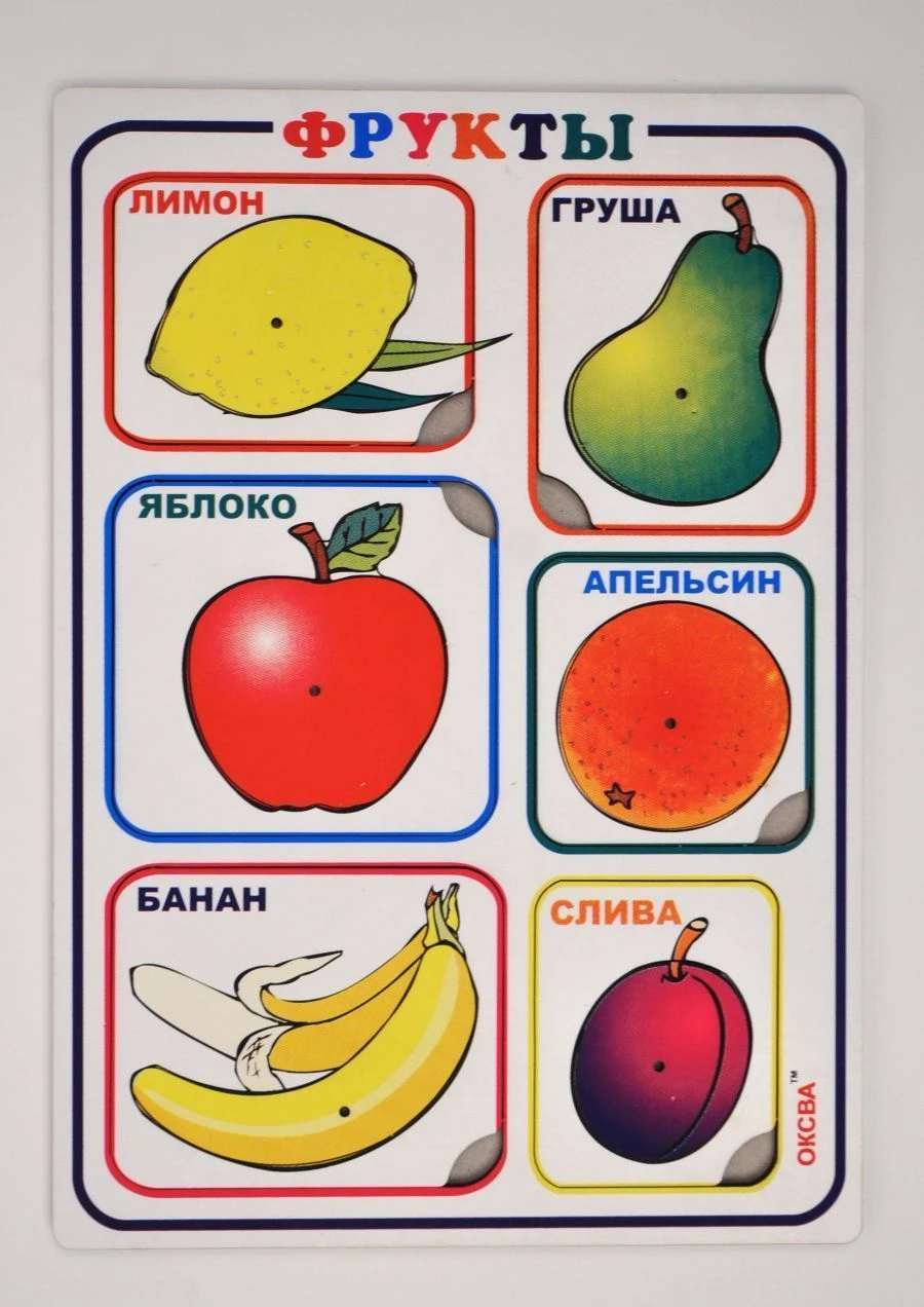 Fruit Inset Frames Educational Toy Set