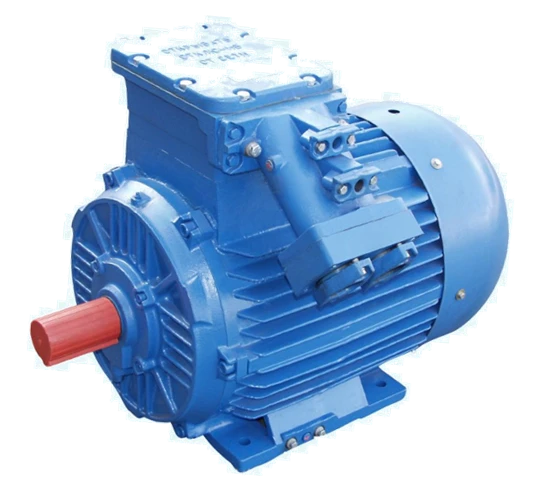 Explosion-Proof Three-Phase Induction Motors, Height 250-280, Over 75 kW