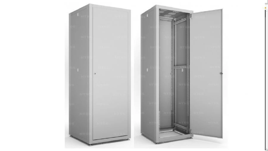 Standard Series Floor Telecommunications Cabinet NTSS-RSP42U80100PD/PD