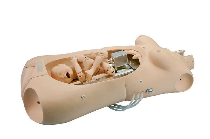 Childbirth Simulation Model for Obstetrics Training GP6643
