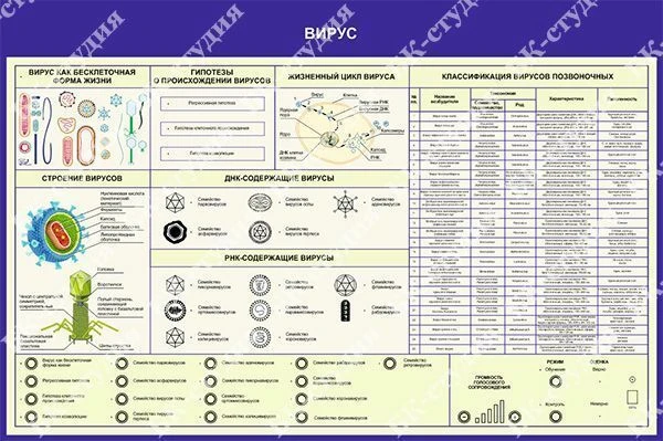 Electrified Display Stand for Visual Presentations