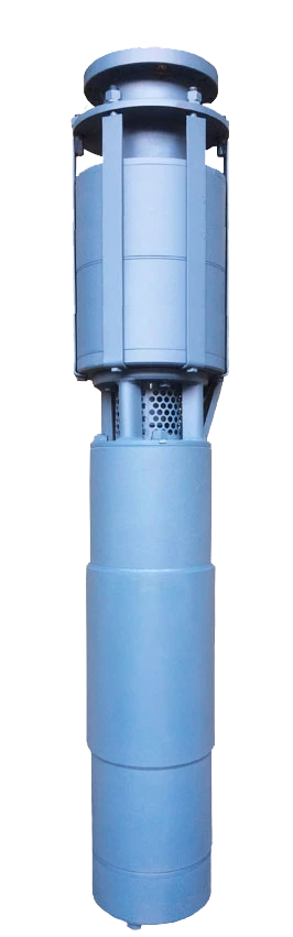 Submersible Centrifugal Pump Unit for Artesian Wells ECW 10-180-45 NRO