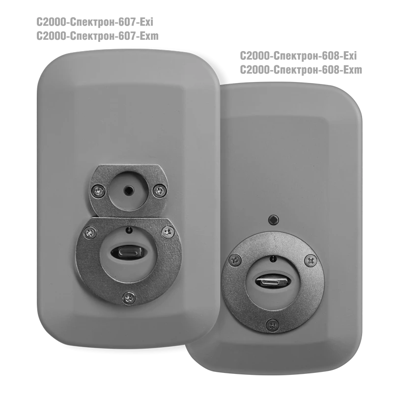 Infrared and Ultraviolet Flame Detector C2000-Spektron-607-Exm