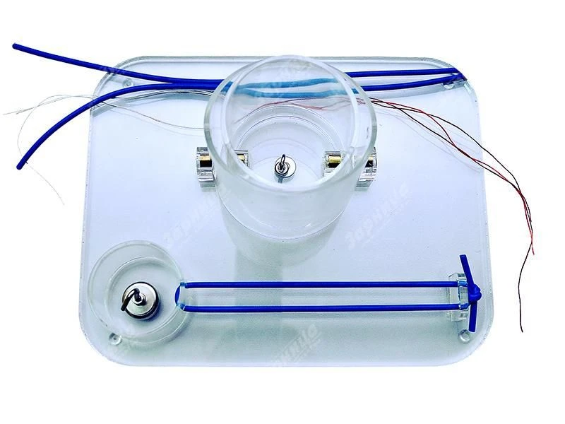 Knot Tying Training Model CS6212