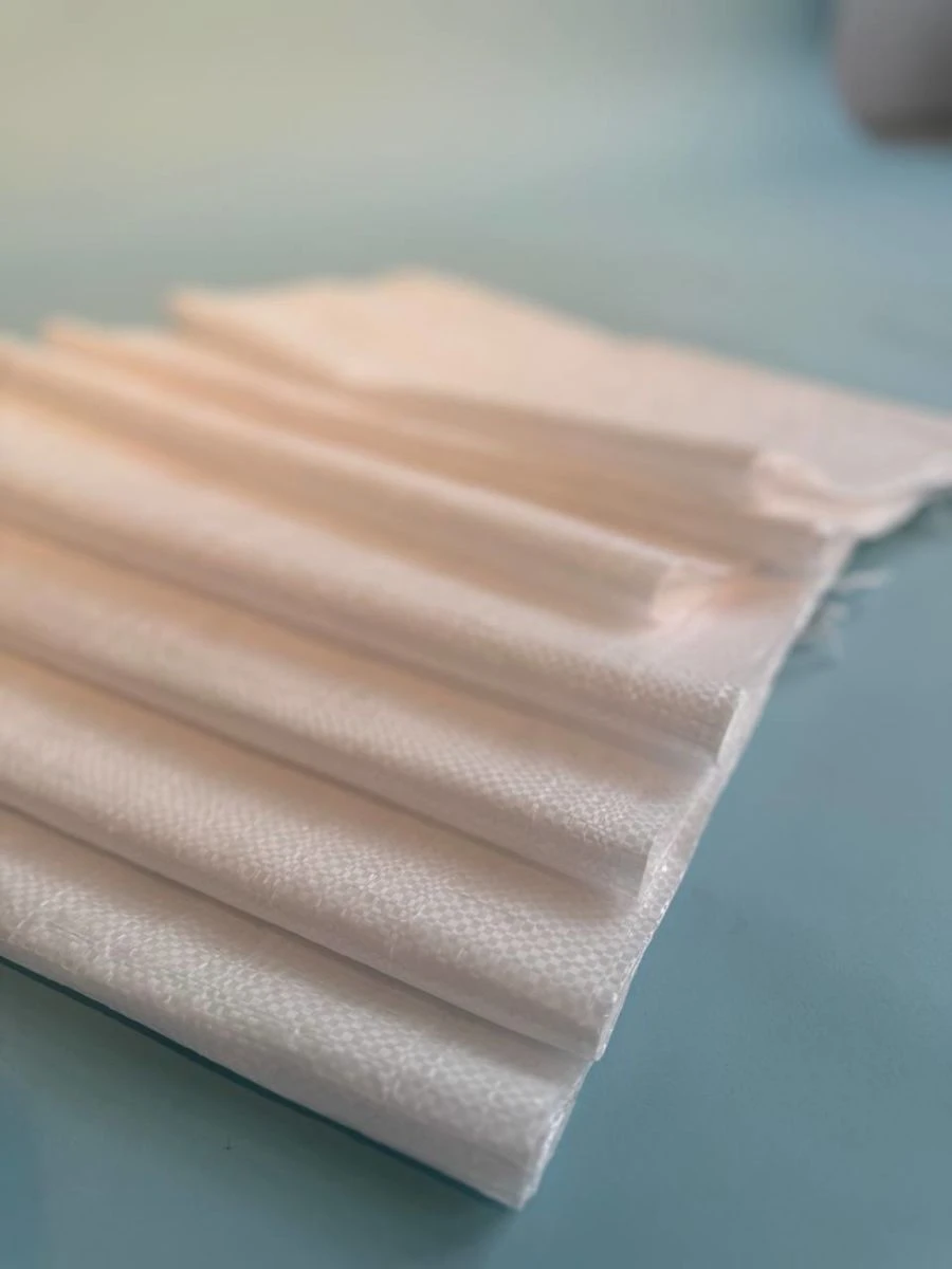 Polypropylene Bag with Handle for Storage and Transport