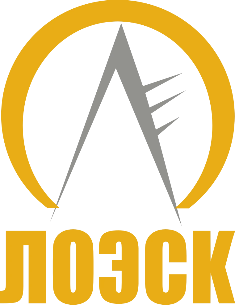 Electricity Transmission and Technological Connection Services for Distribution Networks