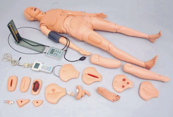 Multifunctional Patient Care Manikin 2400