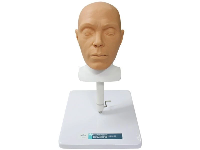 Realistic Cosmetic Practice Head Model MU0627