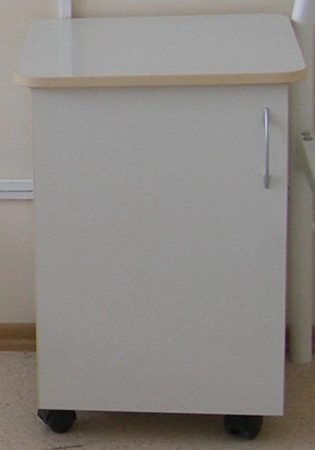 Closed Single-Door Cabinet with Removable Shelf (Type 1)