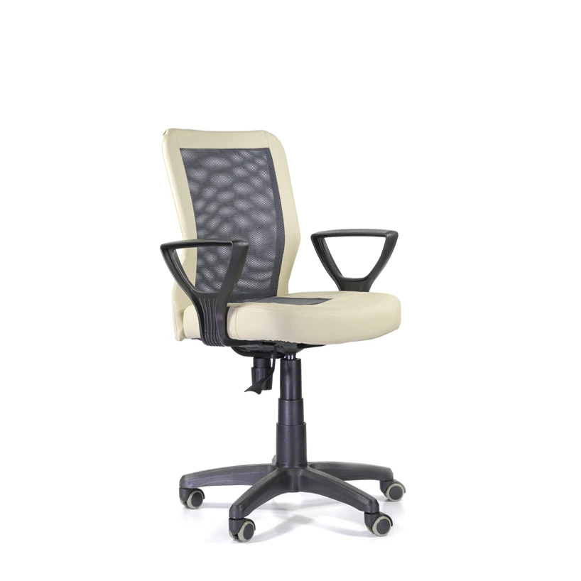 Ergonomic Office Chair Enter Combi