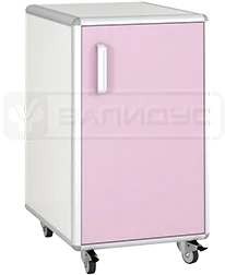 خزانة متنقلة TPKN مع باب متأرجح