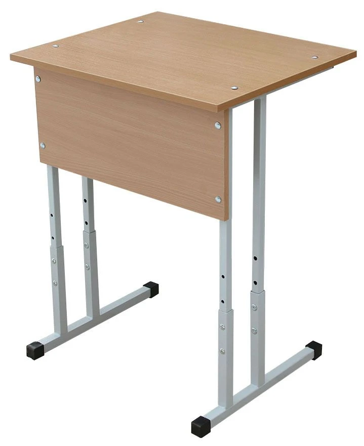 Single Student Desk for Educational Institutions (No Metal Frame)