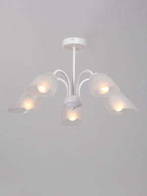 ضوء عام ثابت V33360-0/5PL