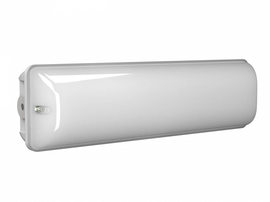 Emergency Light for Evacuation BS-METEOR-53-L1-INEXI2