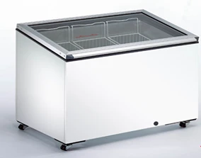 Caravell Deep Freezer Model 40692+ for Efficient Freezing
