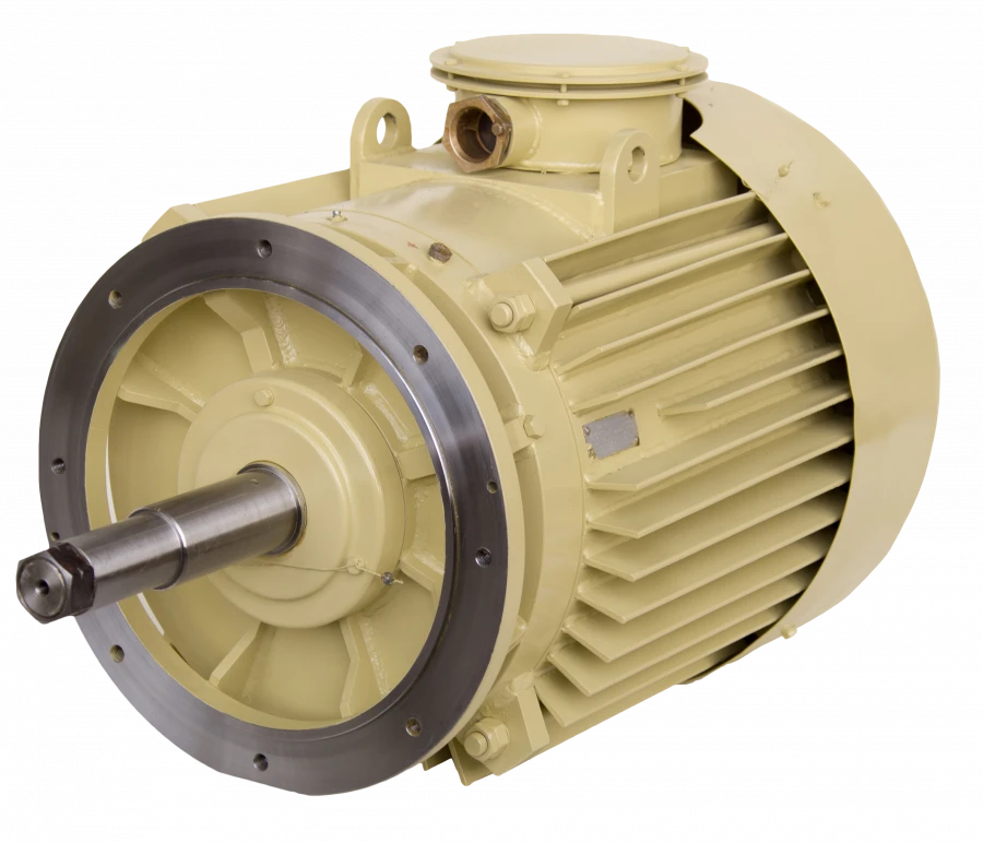 Three-Phase Asynchronous Motors DM, DMN250 (90-110 kW)