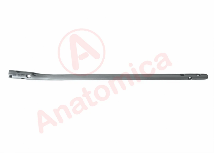 Reconstruction Rod for Shoulder Fractures