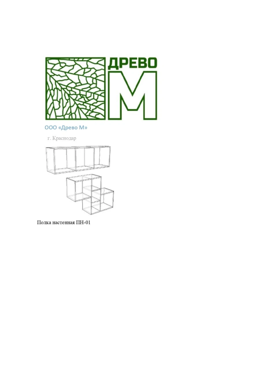 Wall-Mounted Shelf for Efficient Space Utilization PN-01