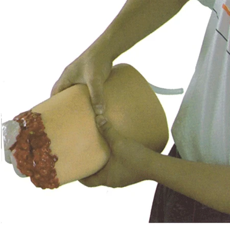 Life-size Lower Limb Model with Amputation Trauma H3008/FA6840