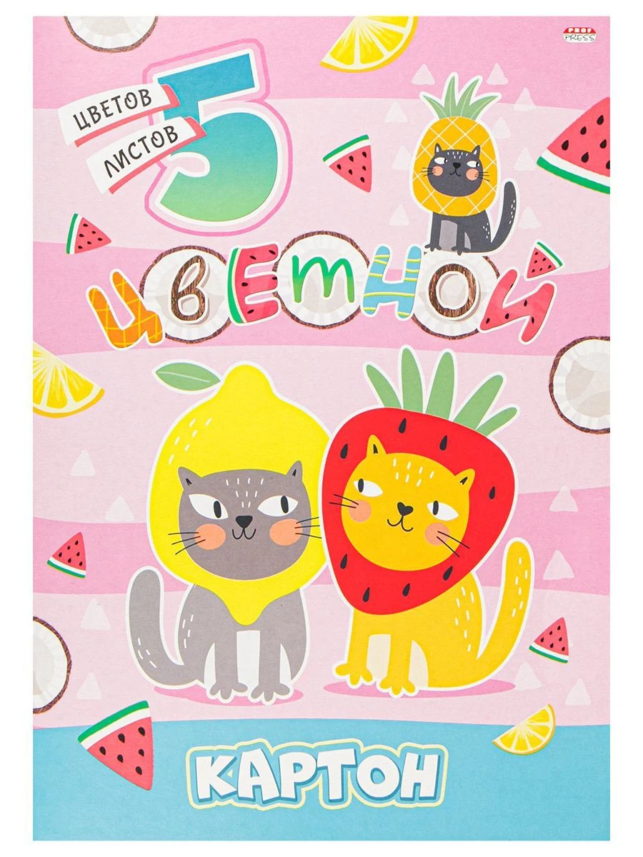 Colored Cardboard in Folder