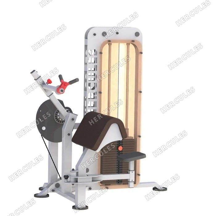 Delta A-112i Wheelchair Accessible Vehicle