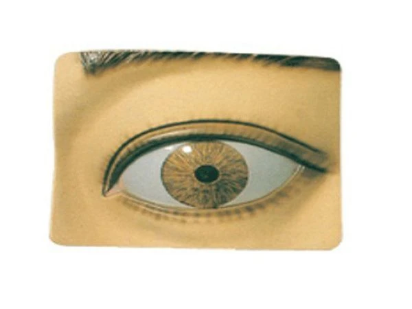 Pupil Response Model for Photometric Control, 17107