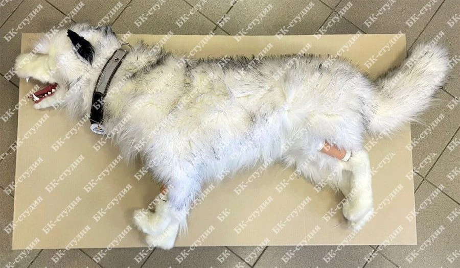 جهاز تدريب المهارات العملية للإنعاش