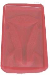 Intrauterine Contraception Model B5