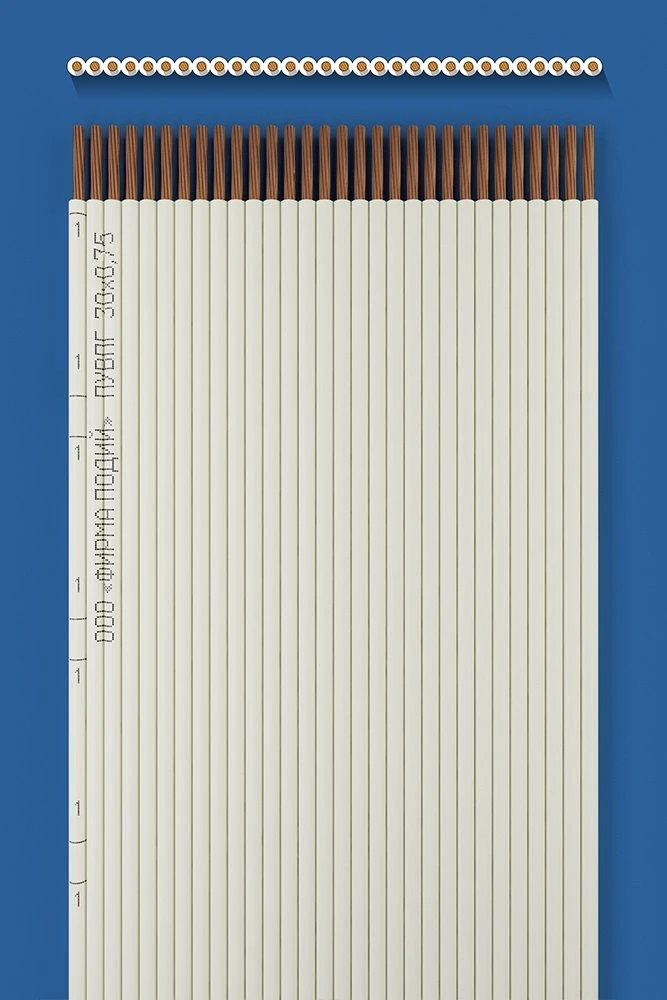 Flat Installation Wire PUWPG 30x0.75