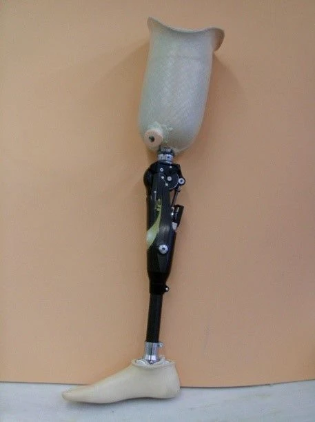 Modular Hip Prosthesis for Developmental Disorders