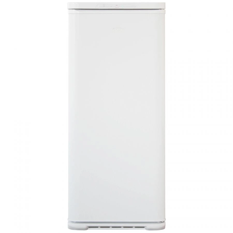 Full-Size Freezer Biryusa "6046SN