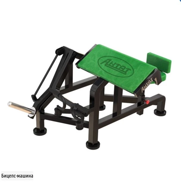 Free Weights Bicep Machine - Strength Training Equipment