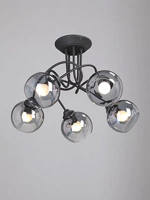 ضوء ثابت للاستخدام العام V4309-1/5PL