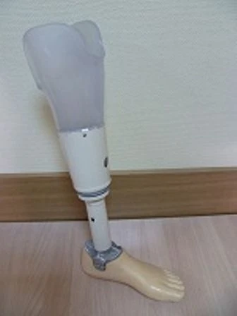 Therapeutic-Training Shin Prosthesis with Custom Sleeve