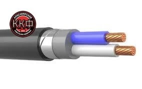 Low Smoke Zero Halogen Cable for Indoor and Underground Use 2x10mm - VBSHV ng(A)-LS
