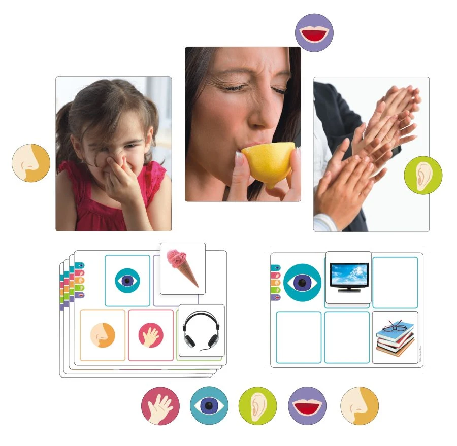 5 Senses Educational Game for Developing Sensory Perception