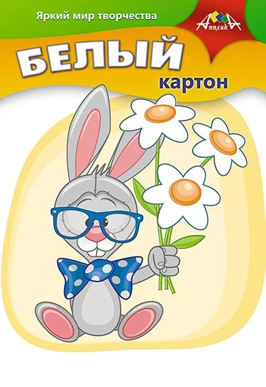 White Cardboard A4, 5 Sheets - Applika Brand