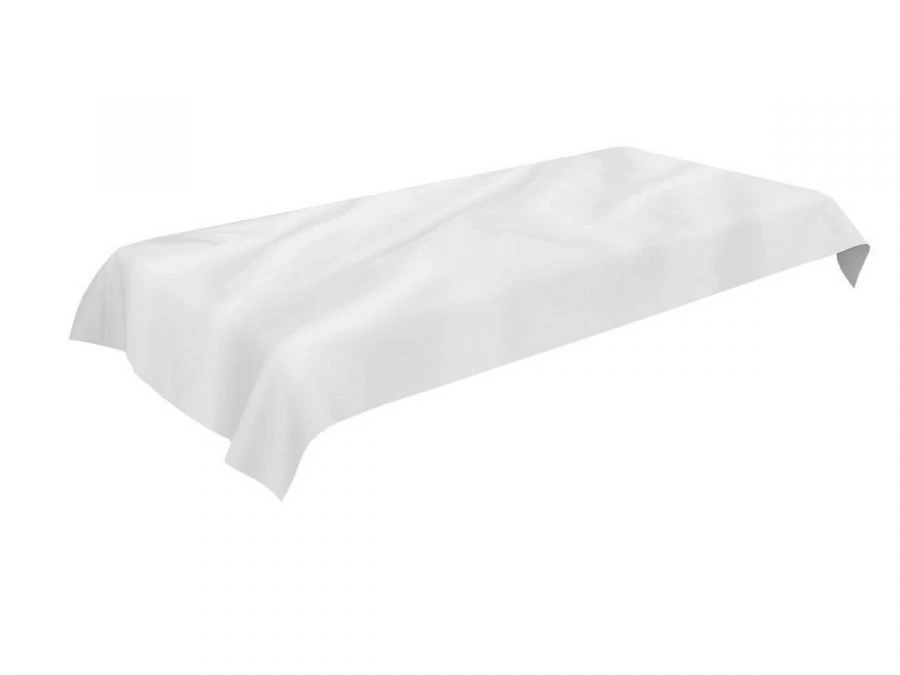 Reusable Bed Sheet for Inmates