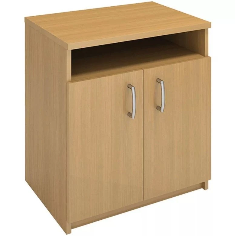 Office Cabinet with Two Doors and Shelf