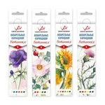 VISTA-ARTISTA Extra Fine Watercolor Pencils Set VWPB-06 Botanical