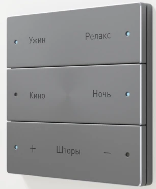 Scenario Switch with 6 Keys and Indicator - FS-BT6